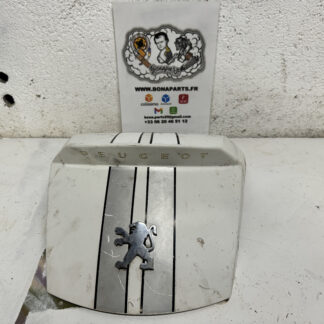 Carénage coffre Satelis 125