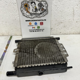 Radiateur Satelis 125