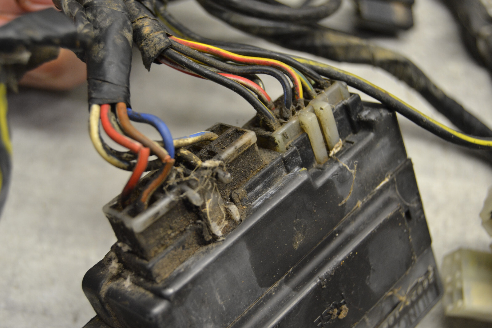 faisceau Kawasaki VNT50B 1500 Sumo VN-15SE 1990 loom assy – Image 8