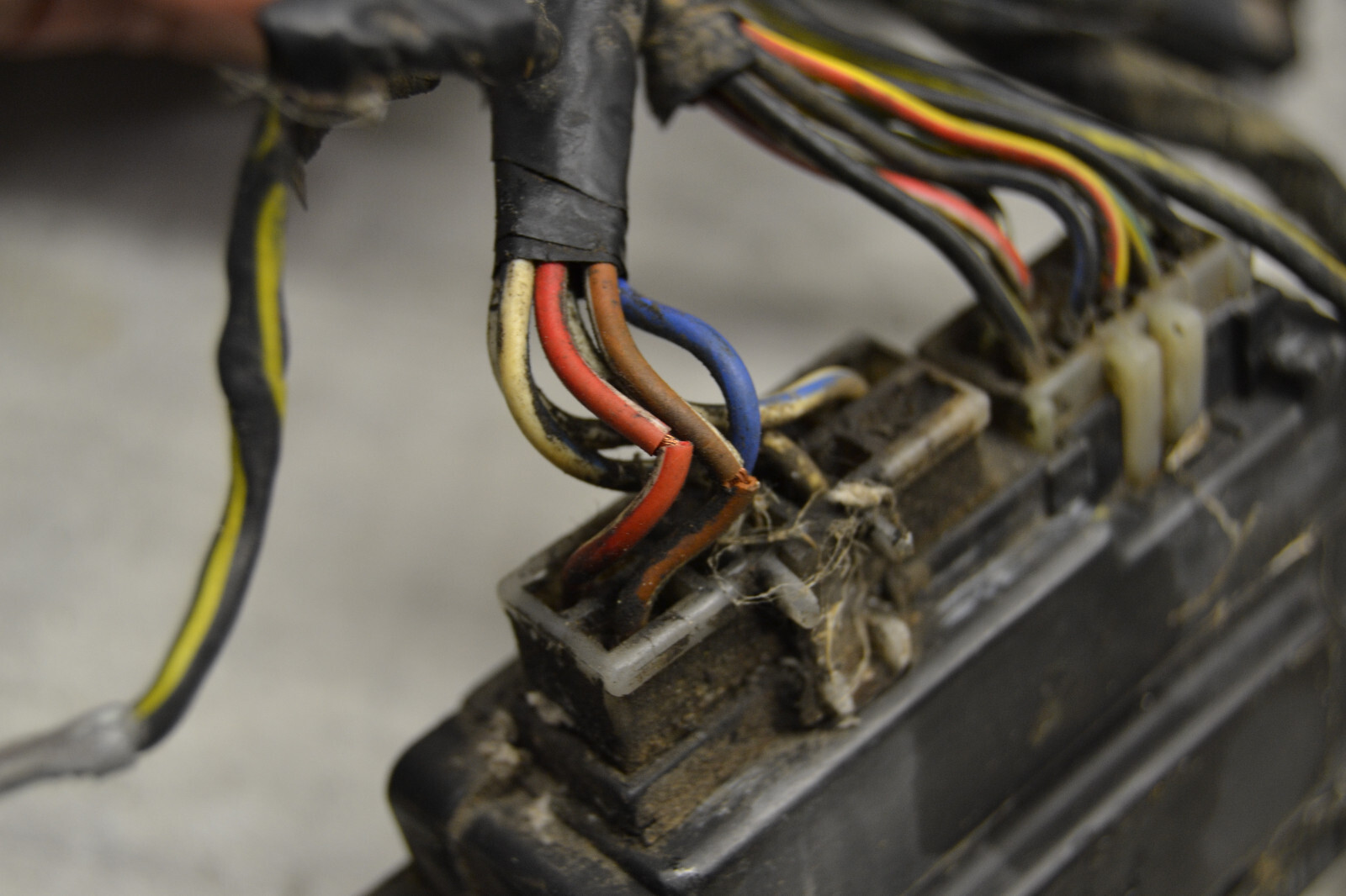 faisceau Kawasaki VNT50B 1500 Sumo VN-15SE 1990 loom assy – Image 9