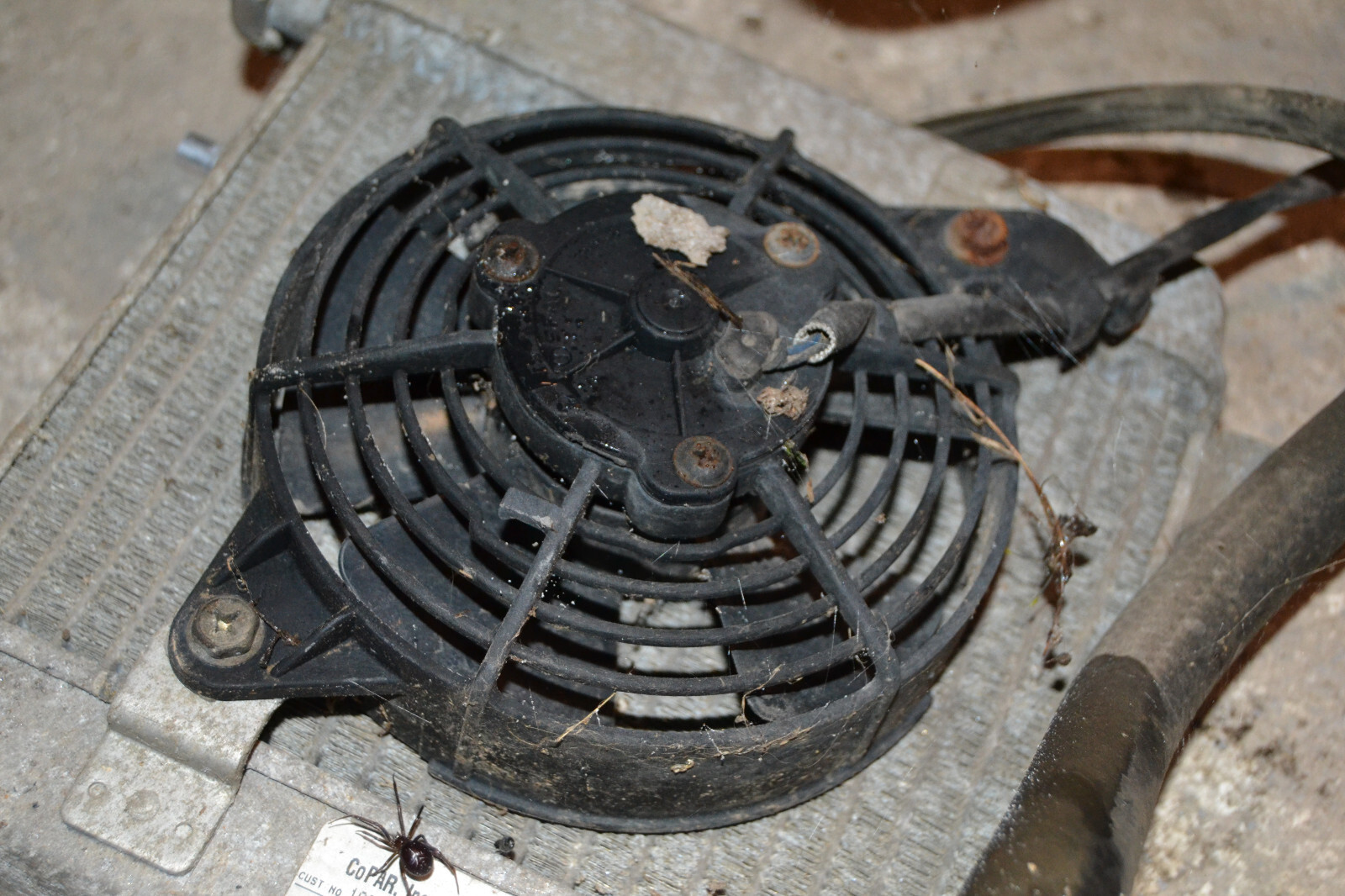 Ventilateur radiateur Honda Pantheon 125 FES fes125 2003-07